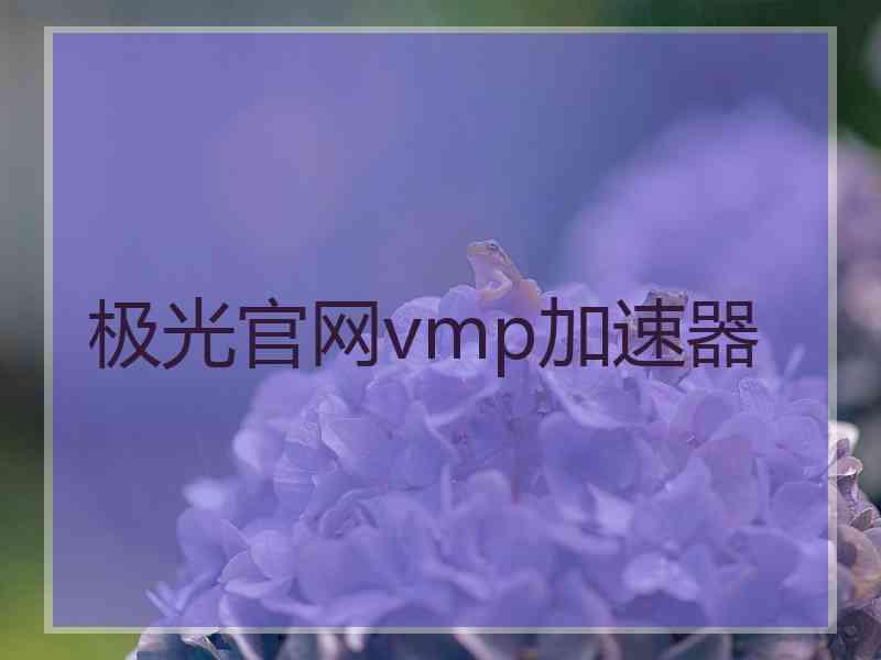 极光官网vmp加速器