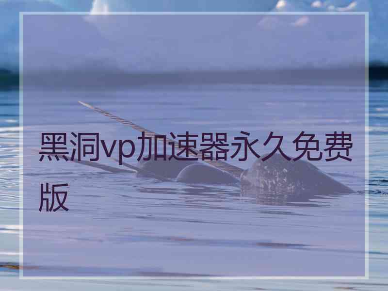 黑洞vp加速器永久免费版