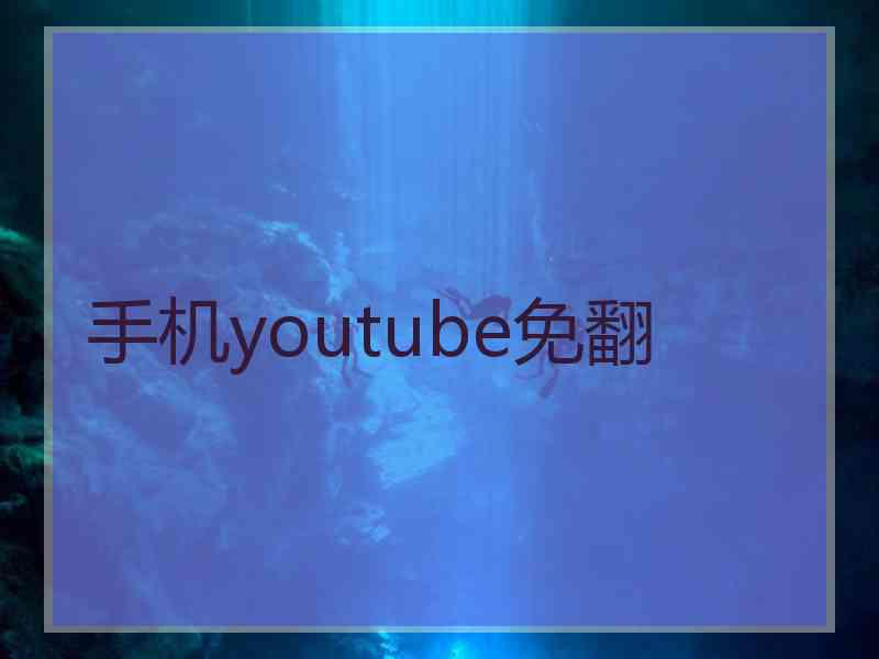 手机youtube免翻