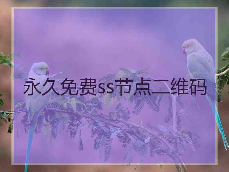 永久免费ss节点二维码