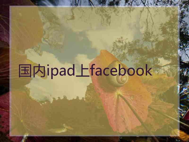 国内ipad上facebook