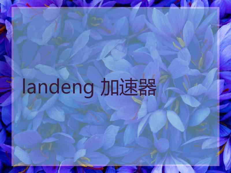 landeng 加速器