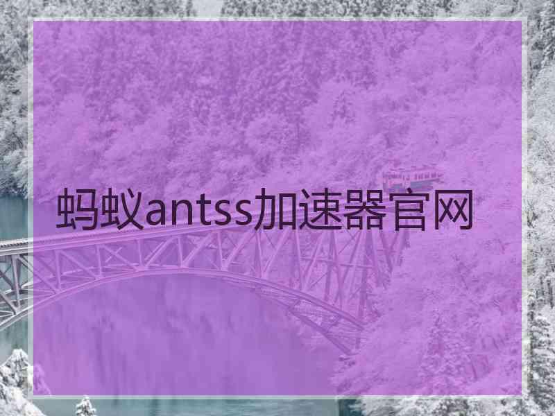 蚂蚁antss加速器官网