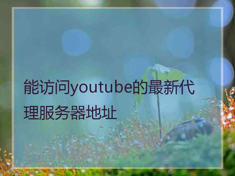 能访问youtube的最新代理服务器地址