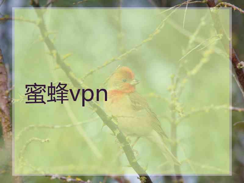 蜜蜂vpn