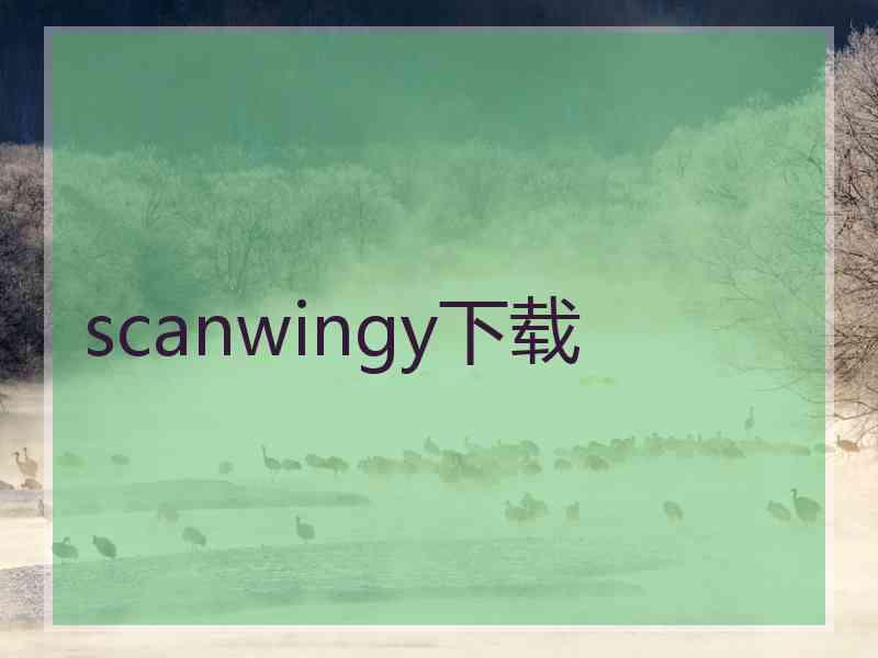 scanwingy下载