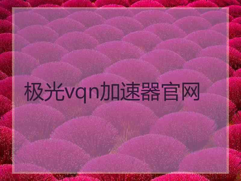 极光vqn加速器官网