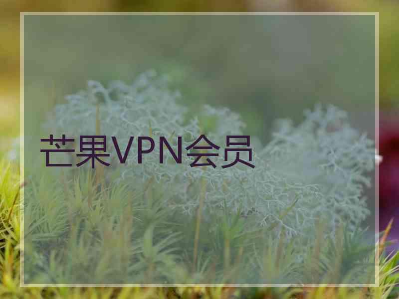 芒果VPN会员