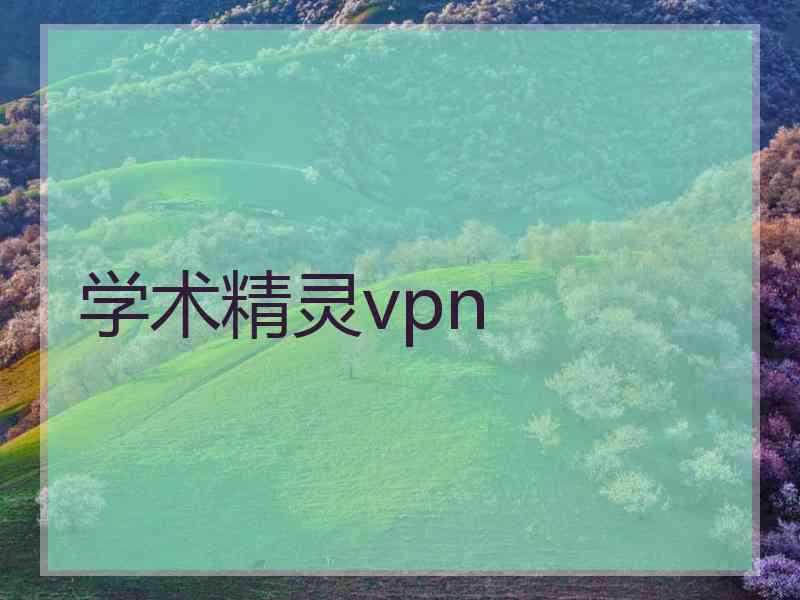 学术精灵vpn