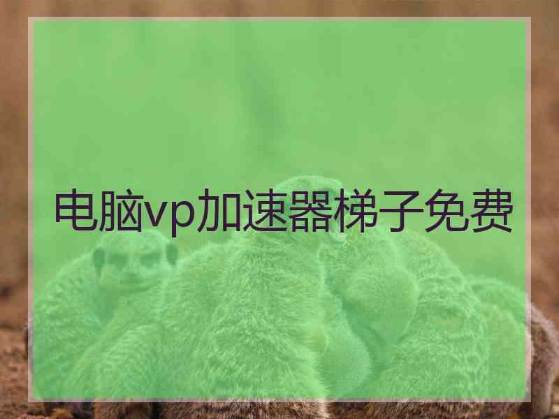 电脑vp加速器梯子免费