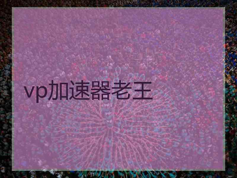 vp加速器老王