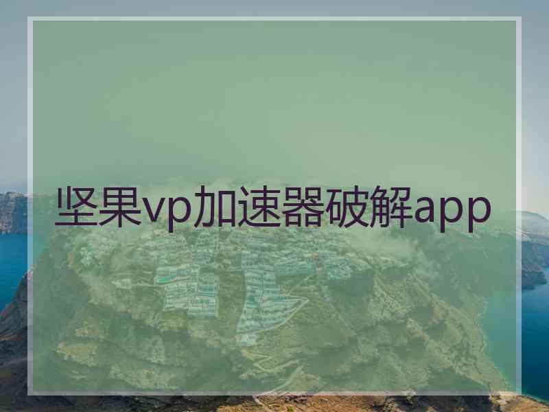 坚果vp加速器破解app