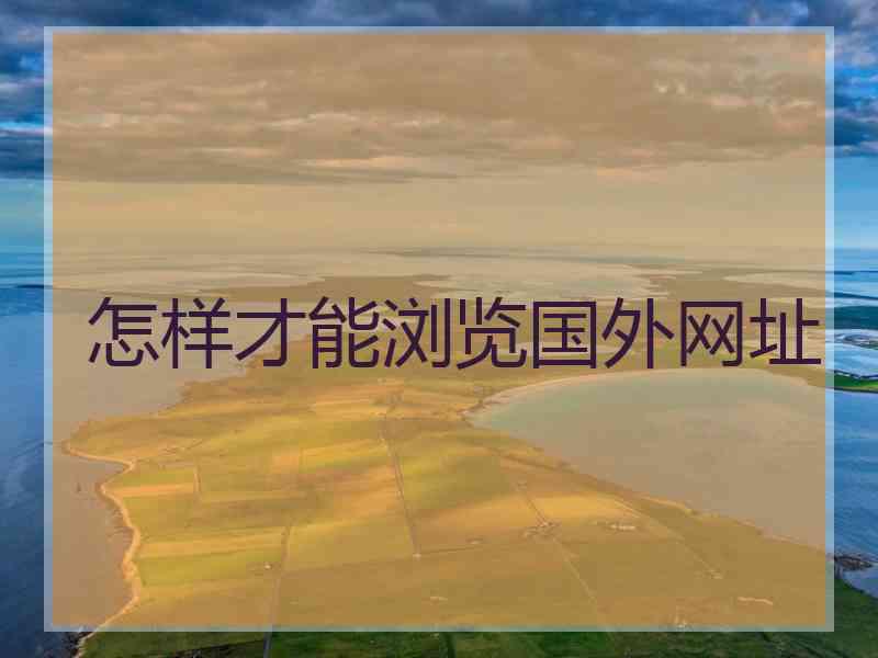 怎样才能浏览国外网址