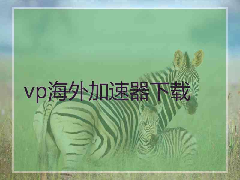 vp海外加速器下载