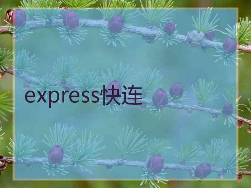 express快连