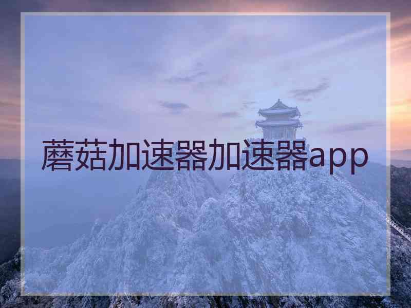 蘑菇加速器加速器app