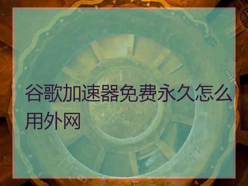 谷歌加速器免费永久怎么用外网