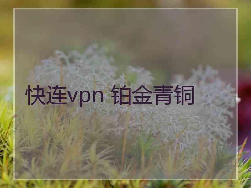 快连vpn 铂金青铜