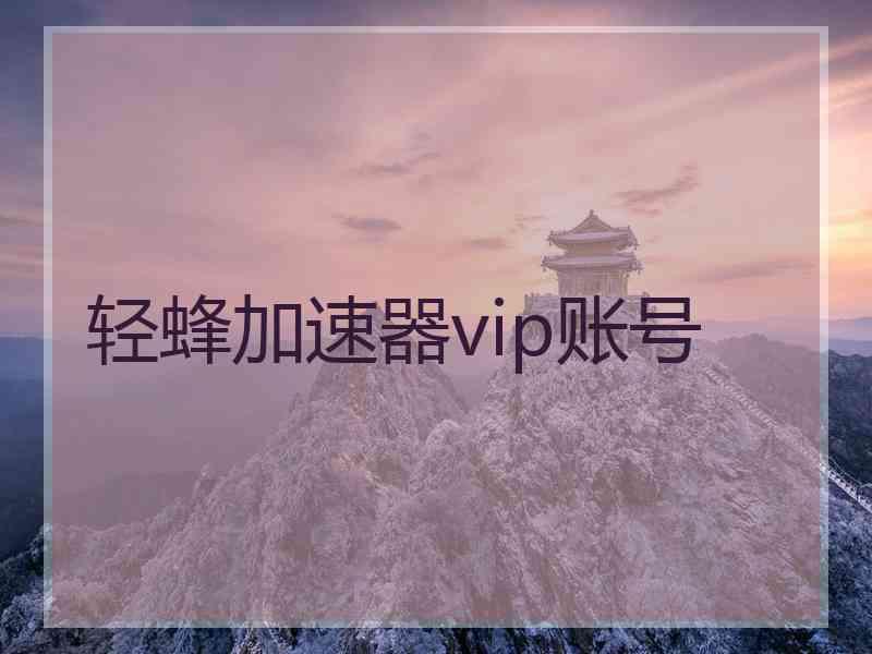 轻蜂加速器vip账号