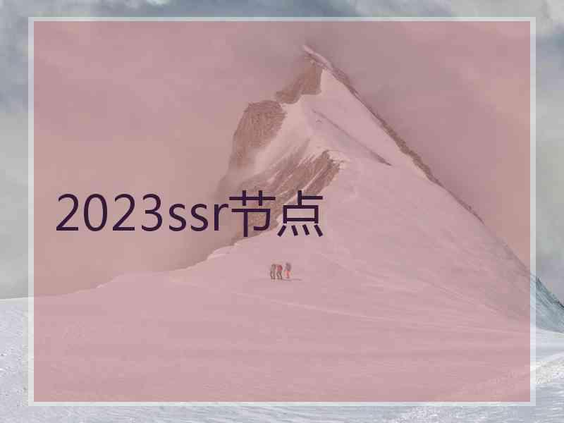 2023ssr节点