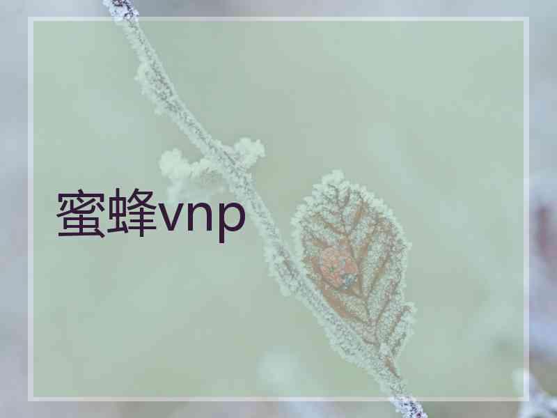 蜜蜂vnp