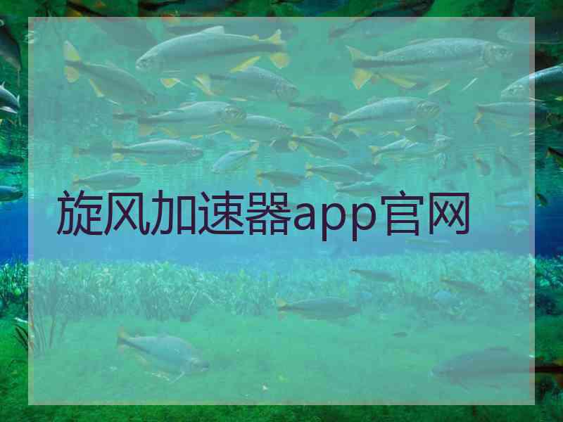 旋风加速器app官网