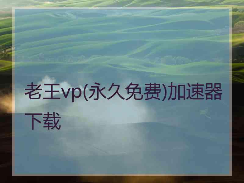 老王vp(永久免费)加速器下载