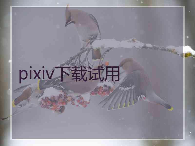 pixiv下载试用