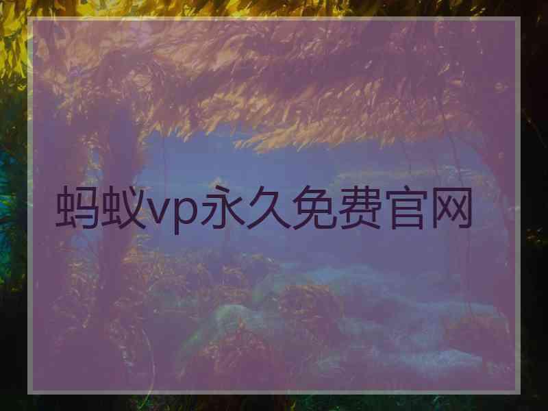 蚂蚁vp永久免费官网