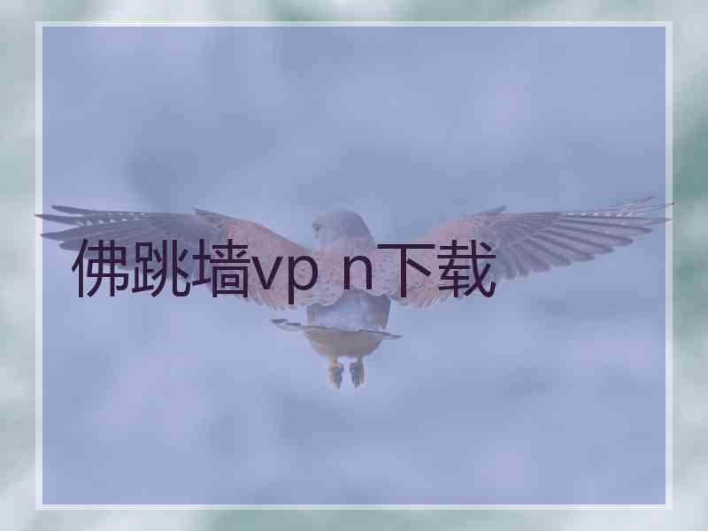 佛跳墙vp n下载