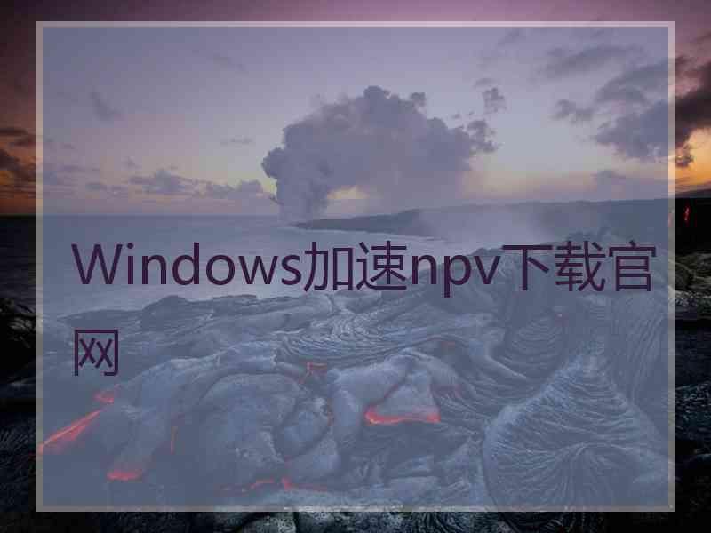 Windows加速npv下载官网