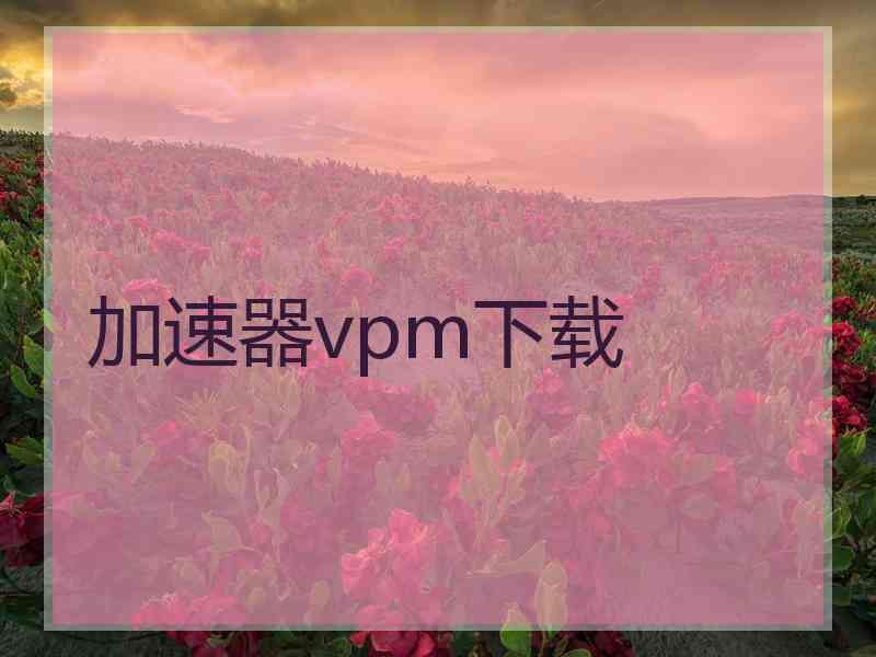 加速器vpm下载