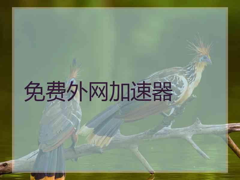 免费外网加速器