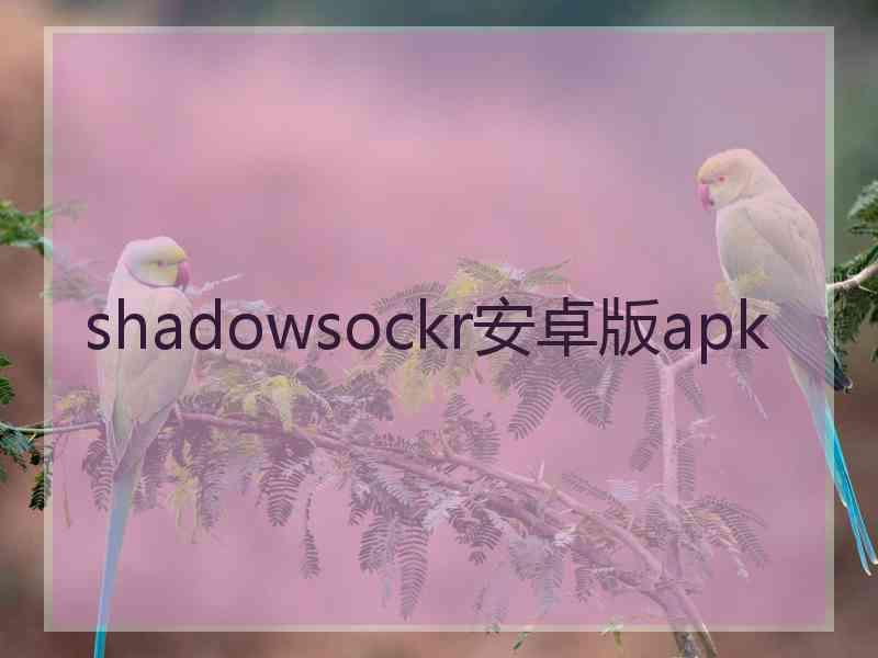 shadowsockr安卓版apk