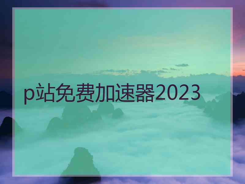 p站免费加速器2023