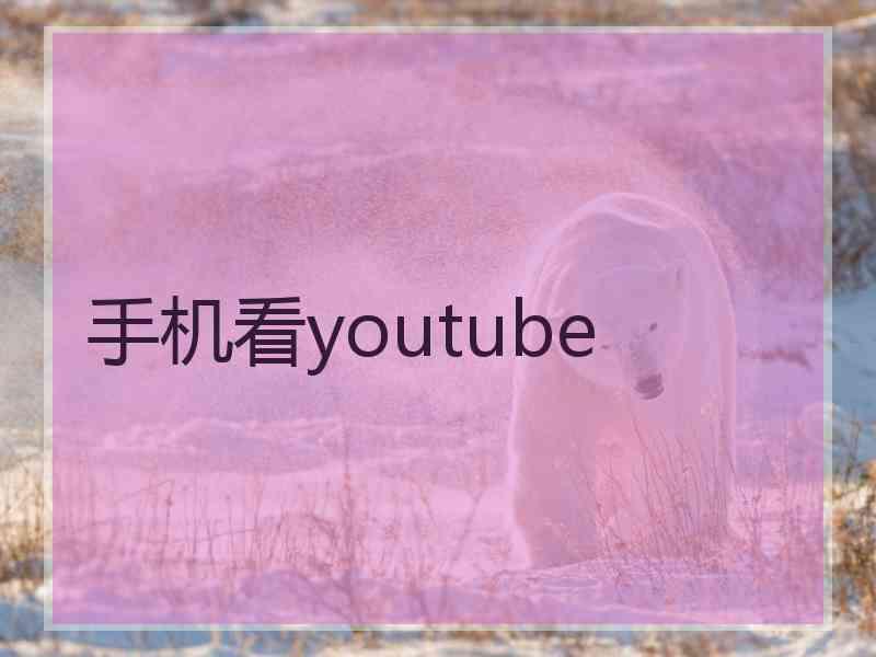 手机看youtube