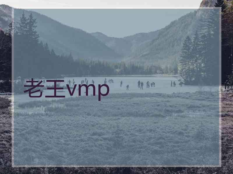 老王vmp