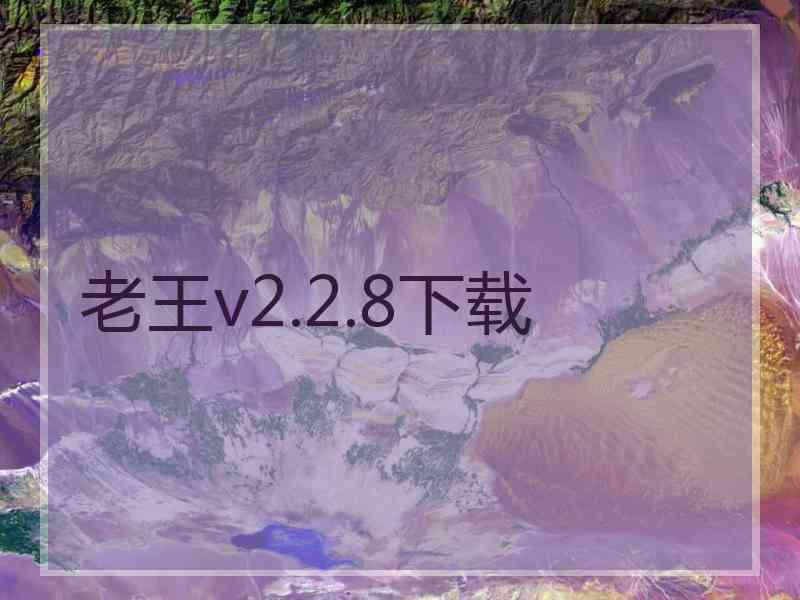 老王v2.2.8下载