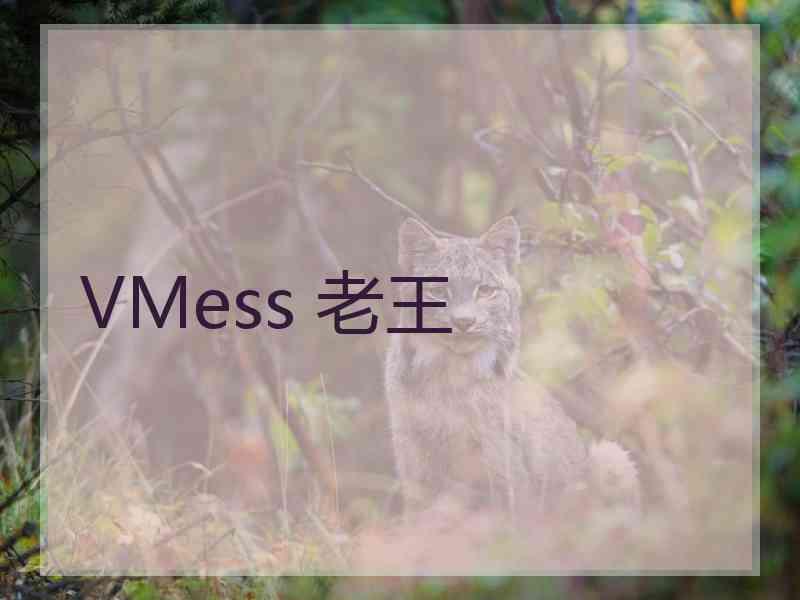 VMess 老王