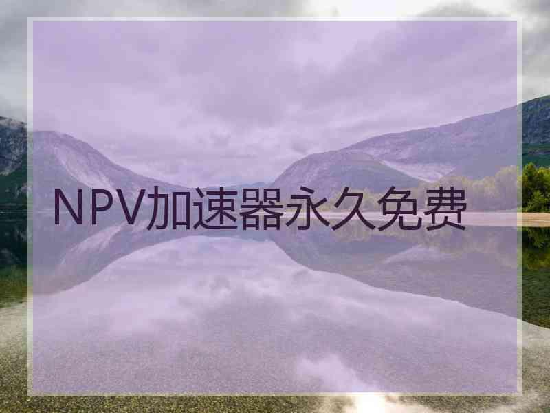 NPV加速器永久免费