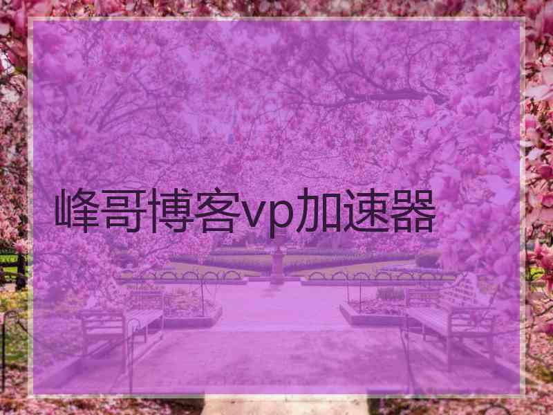 峰哥博客vp加速器