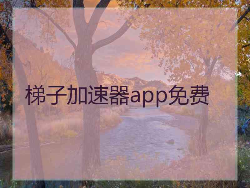 梯子加速器app免费