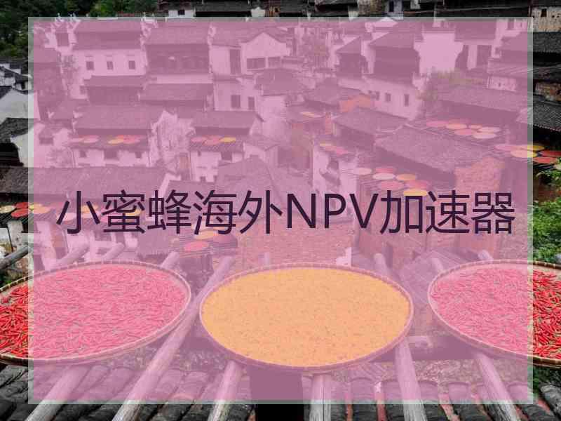 小蜜蜂海外NPV加速器