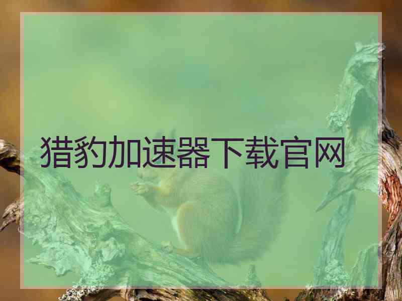 猎豹加速器下载官网