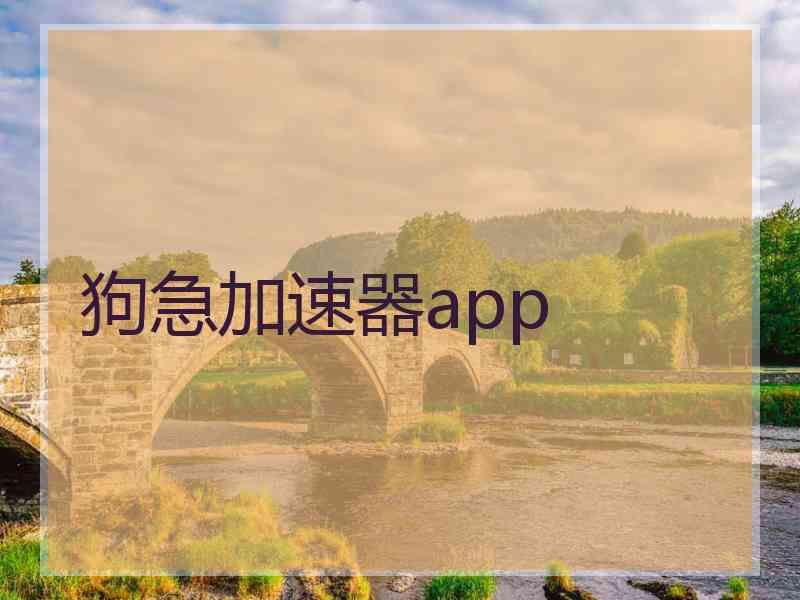 狗急加速器app