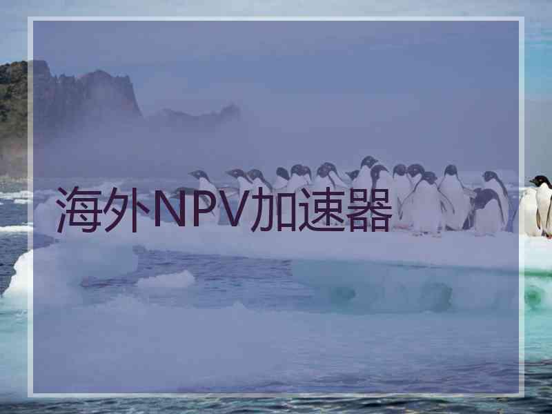 海外NPV加速器