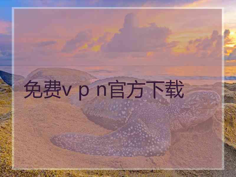 免费v p n官方下载