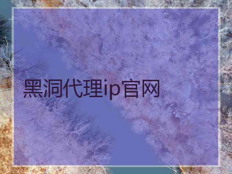 黑洞代理ip官网