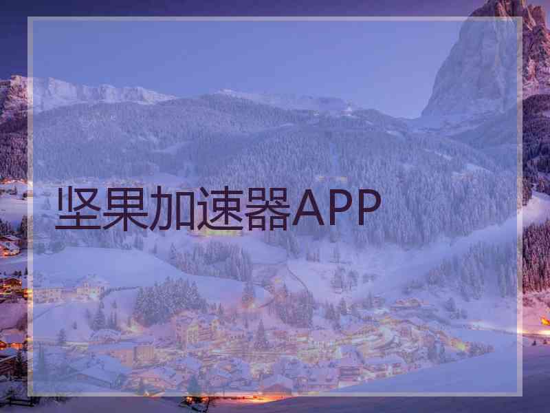 坚果加速器APP