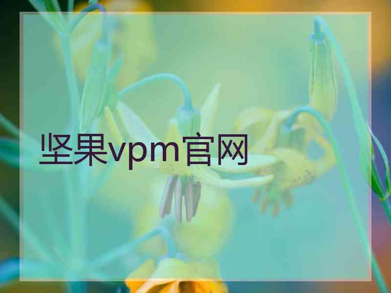 坚果vpm官网